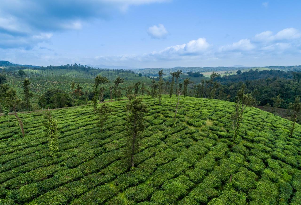 Amritara Ambatty Greens Resort Virajpet Buitenkant foto